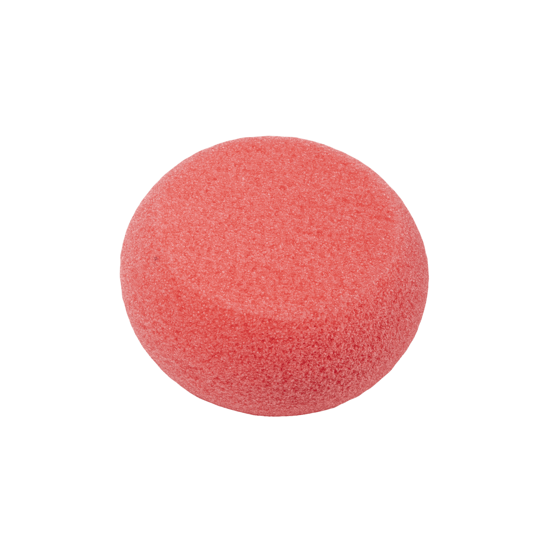 Pumice Stone Number 2065 Round